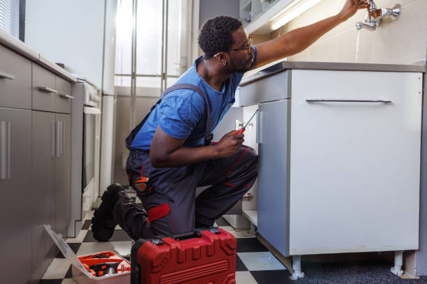 Best Garbage Disposal Repair and Installation  in Steiner Ranch, TX